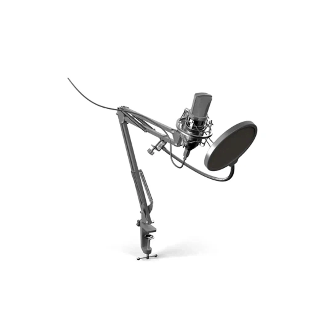 Микрофонный комплект Ritmix RDM-169